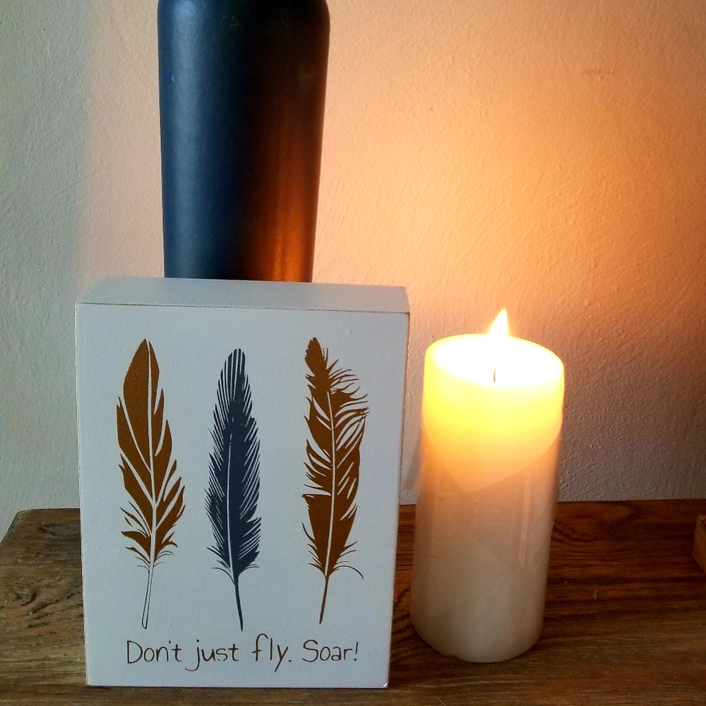 Don't Just Fly Soar Sign New!!!